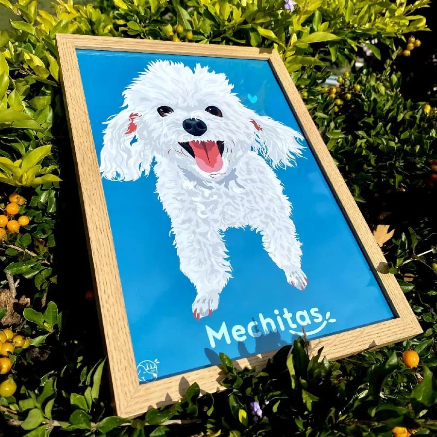 Mechitas, poodle blanca feliz, ilustrada sobre fondo azul, ya convertida en producto